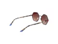 Comma Sonnenbrille COMMA 77219 84