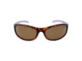 Champion Sonnenbrille CUW 5207 C02