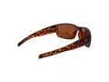 Champion Sonnenbrille CU 5146 C03