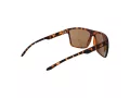 Champion Sonnenbrille CU 5150 C03