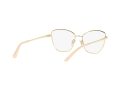 Dolce & Gabbana Brillen DG 1340 02
