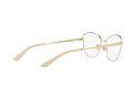 Dolce & Gabbana Brillen DG 1340 02