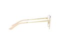 Dolce & Gabbana Brillen DG 1340 02