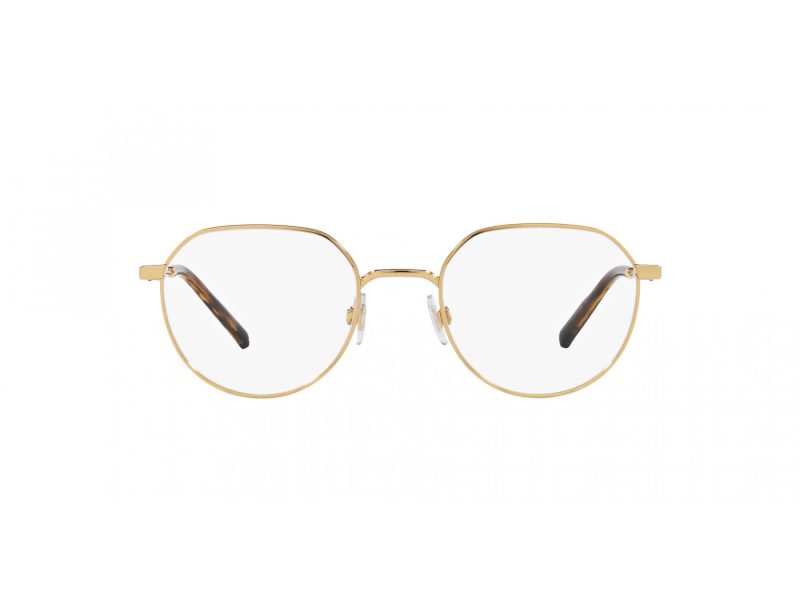 Dolce & Gabbana Brillen DG 1349 02