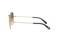 Dolce & Gabbana Sonnenbrille DG 2242 02/13