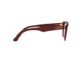 Dolce & Gabbana Brillen DG 3360 3247
