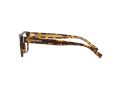 Dolce & Gabbana Brillen DG 3362 502