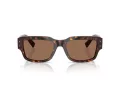 Dolce & Gabbana Sonnenbrille DG 4483 502/73