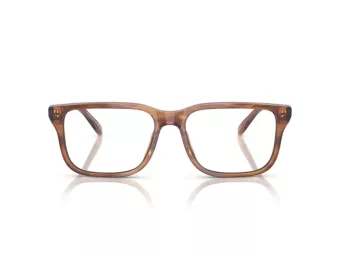 Emporio Armani Brillen EA 3250U 6203 54