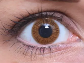   ColourVUE Egyrétegű Méz (2 stk) , Highlight, 3 Monatskontaktlinsen