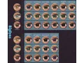 ColourVUE Babaszem - Mogyoróbarna (2 stk) , Highlight, 3 Monatskontaktlinsen