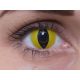 ColourVUE Crazy Cat's Eye (2 stk) , Abdeckung, 3 Monatskontaktlinsen