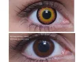 ColourVUE Crazy Orange Bloody tail (2 stk) , Abdeckung, 3 Monatskontaktlinsen - ohne Dioptrie