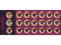 ColourVUE Glamour Méz (2 stk) , Highlight, 3 Monatskontaktlinsen