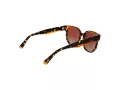 Funky Buddha Sonnenbrille FB 2052 004