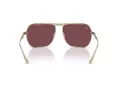 Ferrari Sonnenbrille FH 1014T 302/1E