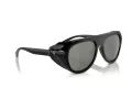 Ferrari Sonnenbrille FH 2002QU 501/5C