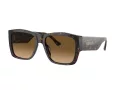 Ferrari Sonnenbrille FH 2003U 702/M2