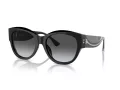 Ferrari Sonnenbrille FH 2008U 701/T3