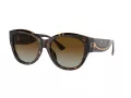 Ferrari Sonnenbrille FH 2008U 702/T5