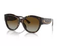 Ferrari Sonnenbrille FH 2008U 702/T5