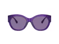 Ferrari Sonnenbrille FH 2008U 705/AK