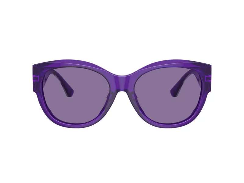 Ferrari Sonnenbrille FH 2008U 705/AK