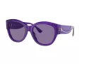 Ferrari Sonnenbrille FH 2008U 705/AK