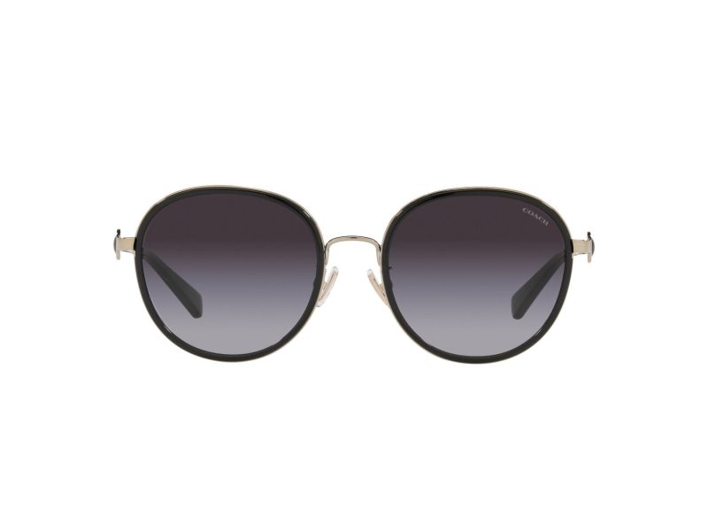 Coach C6179 Sonnenbrille HC 7129 50028G