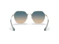 Coach C7998 Sonnenbrille HC 7132 900579
