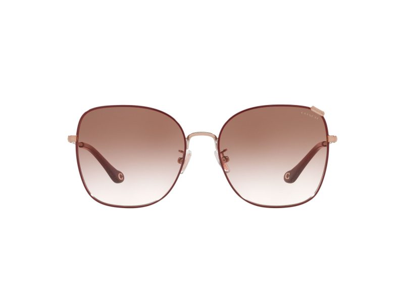 Coach C7997 Sonnenbrille HC 7133 94038D
