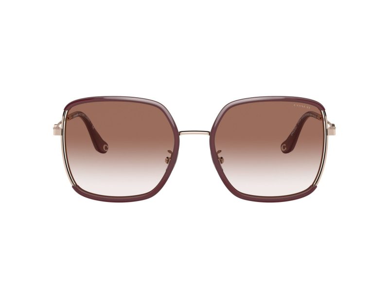 Coach C8000 Sonnenbrille HC 7139BD 94028D