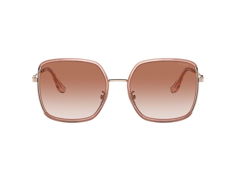Coach C8000 Sonnenbrille HC 7139BD 940813