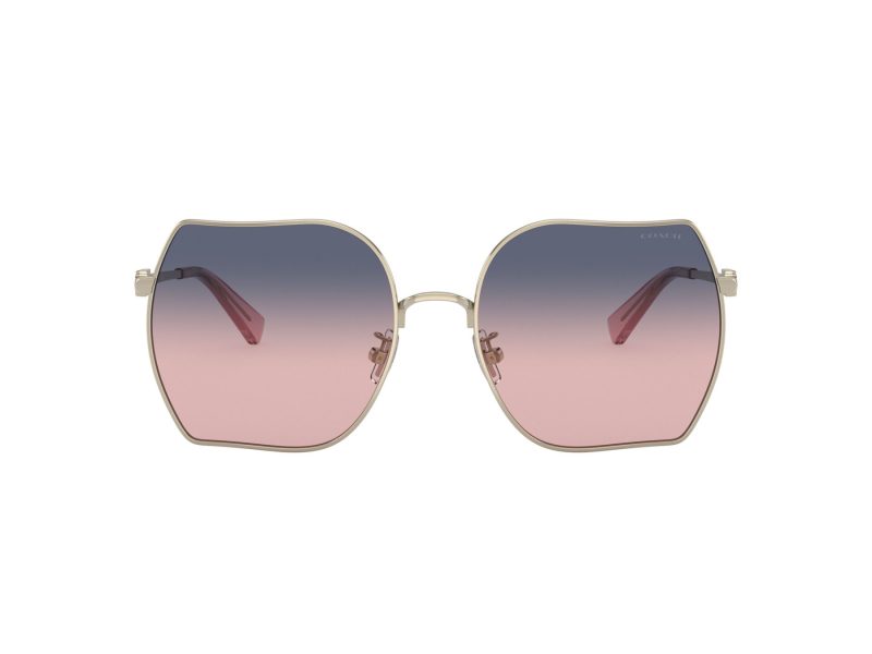 Coach Cd476 Sonnenbrille HC 7142 90050J
