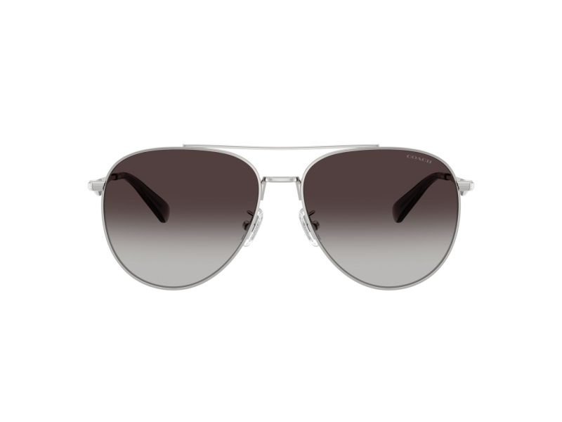 Coach Cw193 Sonnenbrille HC 7169 90013C