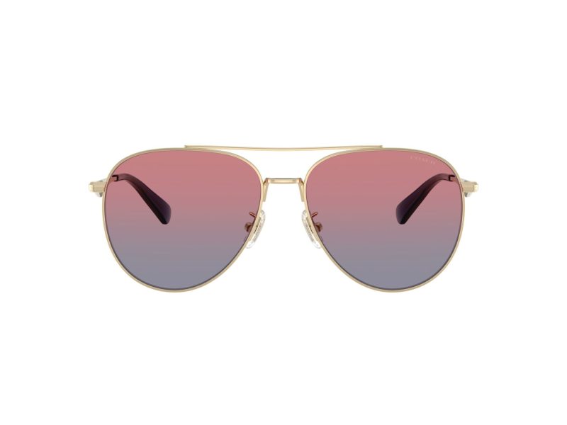 Coach Cw193 Sonnenbrille HC 7169 90050Q