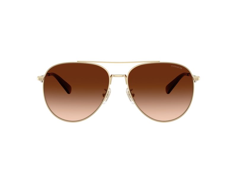 Coach Cw193 Sonnenbrille HC 7169 900574