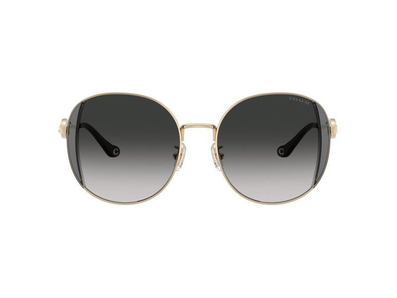 Coach Cad73 Sonnenbrille HC 7176B 90053C