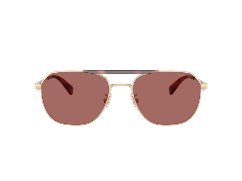Coach Cae80 Sonnenbrille HC 7178 90050H