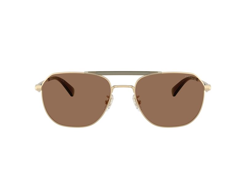 Coach Cae80 Sonnenbrille HC 7178 900573