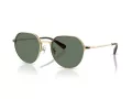 Coach Cae81 Sonnenbrille HC 7179 90053H