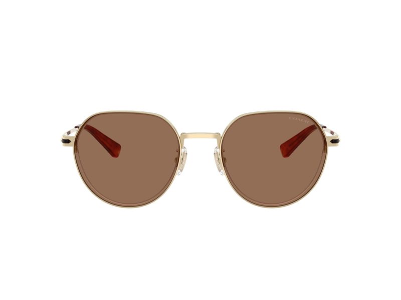 Coach Cae81 Sonnenbrille HC 7179 900573
