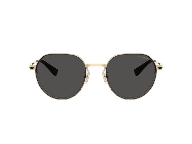 Coach Cae81 Sonnenbrille HC 7179 900587
