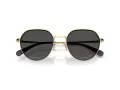 Coach Cae81 Sonnenbrille HC 7179 900587