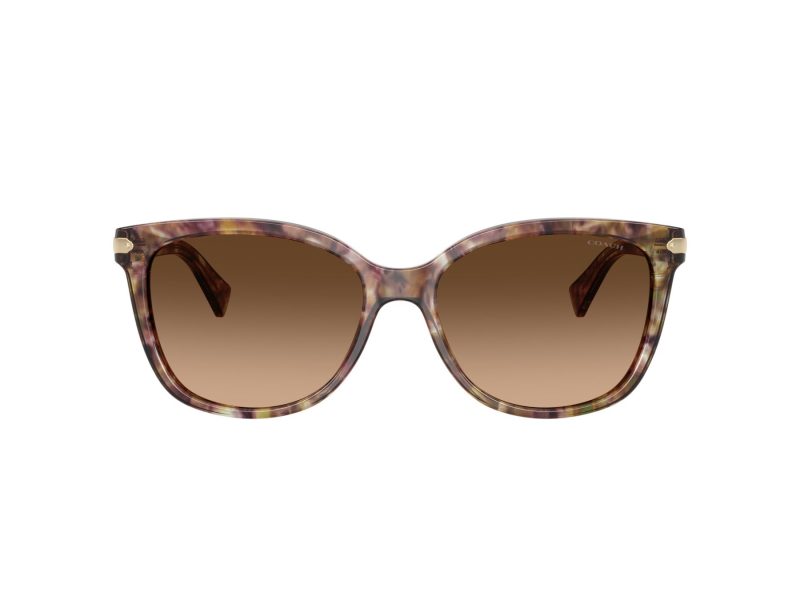 Coach L109 Sonnenbrille HC 8132 528713