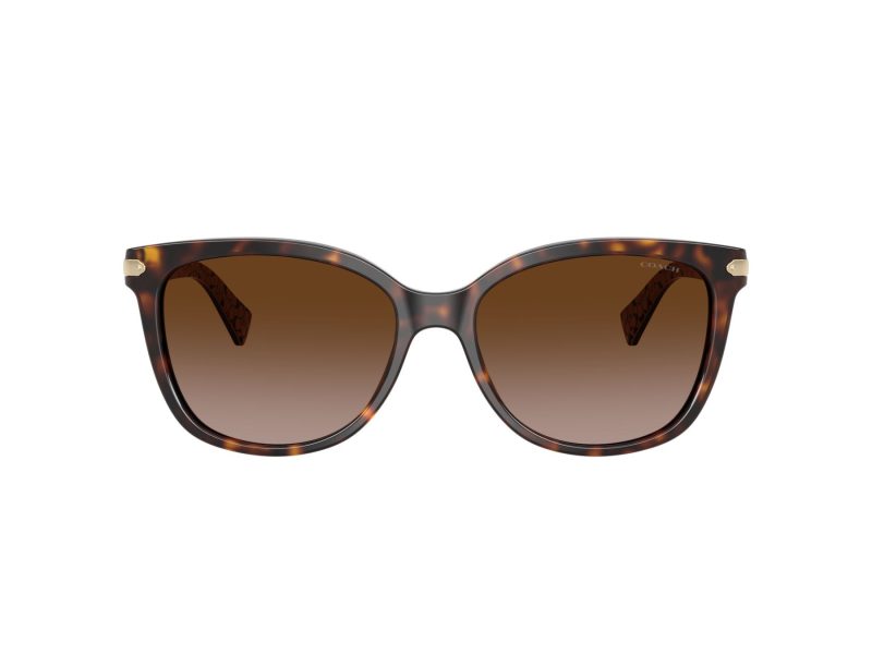 Coach L109 Sonnenbrille HC 8132 529113