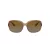 Coach L149 Sonnenbrille HC 8169 5561T5