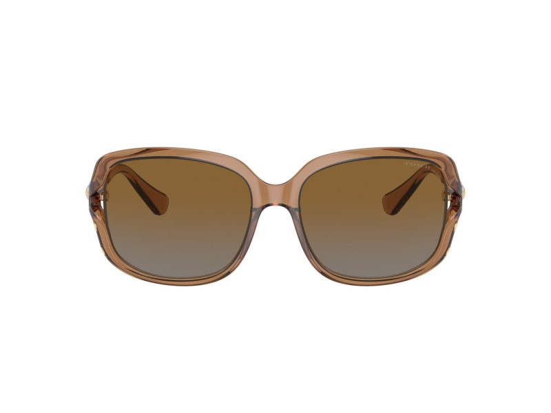 Coach L149 Sonnenbrille HC 8169 5561T5