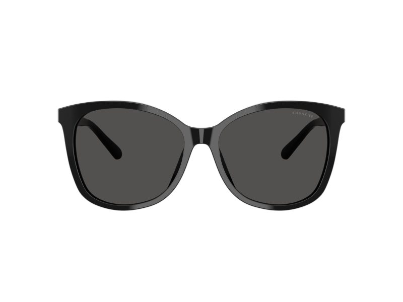 Coach L1101 Sonnenbrille HC 8271U 500287