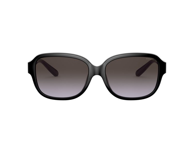 Coach L1153 Sonnenbrille HC 8298U 50028G